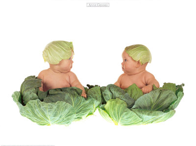 anne-geddes-cabbage-kids
